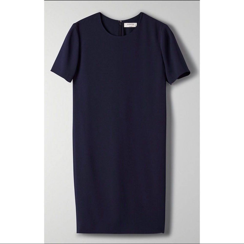 Aritzia - Babaton, Patricio Dress